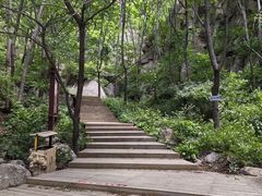 -大岭沟猕猴桃谷风景区