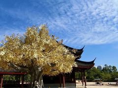 -广东圆玄道观