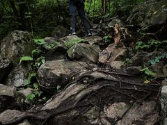 -九峰山