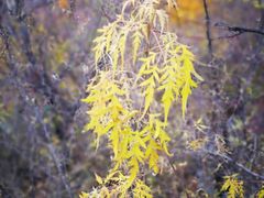-南窖乡水峪村山情农家
