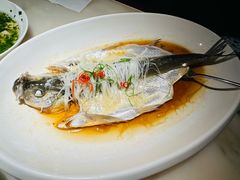传统清蒸大白鱼-淮扬府(安定门店)