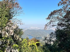 -午潮山国家森林公园