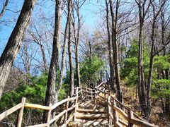 -王顺山国家森林公园