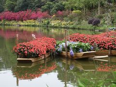 -深圳仙湖植物园