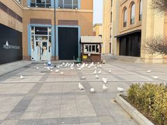 -王府井奥莱棋盘山小镇