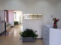 -伟伟宠物医院·瑞派猫友好医院·猫科(光谷店)