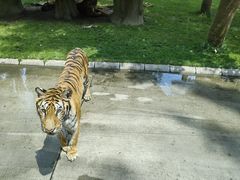 -北京野生动物园