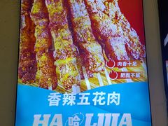 -哈力家·西北烧烤烤串(凤城十路店)