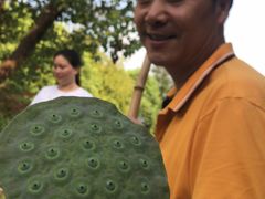 -龚家花园农家乐休闲别墅