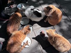 -晓港公园