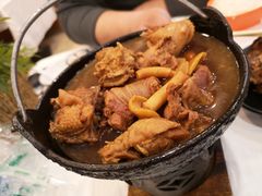 小鸡炖蘑菇-京北渔家傲
