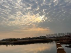 -白洋淀景区