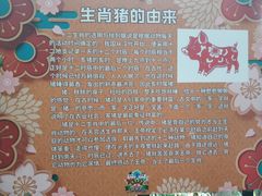 -无锡动物园·太湖欢乐园