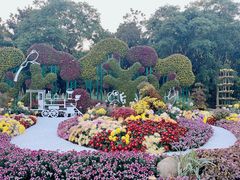 -上海共青森林公园