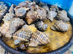 -港畔赶海蒸汽海鲜烧烤自助(仙螺岛店)
