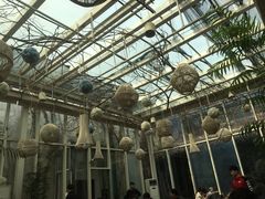 -院子餐厅·大锅菜·老杭帮(桥西直街店)