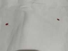 -厦门泰谷酒店(中山路镇海路地铁站店)