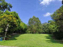 -深圳仙湖植物园