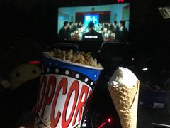 放映厅-枫花园汽车电影院(朝阳公园店)