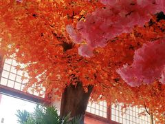 -八次方巴乡石锅鱼·金海湖水库活鱼(谷丰东路店)