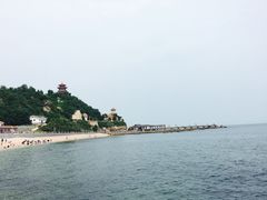 -长岛万鸟岛