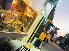 -猫咪博物馆(顶澳仔猫街店)