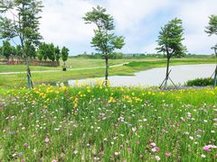 -洪湖湿地生态园