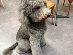 -沏点Trattoria意大利餐厅(新街口店)