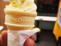 -麦当劳(文武路店)