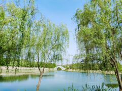 -虎丘湿地公园