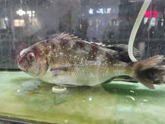 -青竹园海鲜餐厅(海天路店)