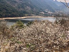 -广州市流溪河国家森林公园