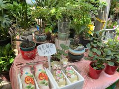 -曲阳花鸟市场(曲阳路店)