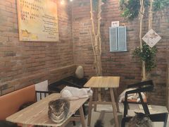 -豆逗聊愈猫阁Easy Life