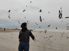 -老虎石海上公园