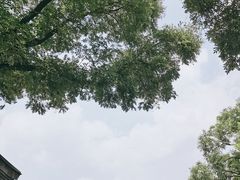 -南锣鼓巷