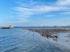 -黄海明珠