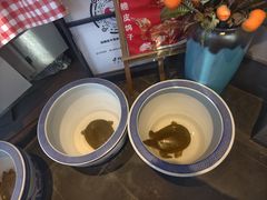 -鸽舞笙平金牌烧鸽子·融合菜(鲁谷店)