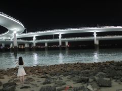 -演武大桥观景平台