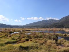 -腾冲北海湿地