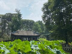 -宝光寺
