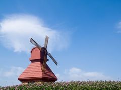 -杭州湾海上花田景区
