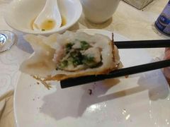 -陶然饺子城(奥体中路店)