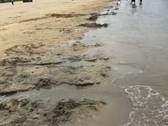 -碧海金沙