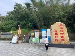 -羚羊峡古栈道森林公园