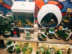 -酷乐潮玩(金桥国际店)