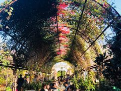 -The Grounds of Alexandria