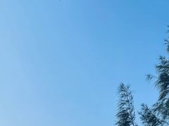 -双月湾