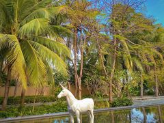 -海南清水湾莱佛士酒店