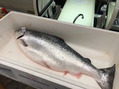 三文鱼-悦和餐厅(CBD玉米楼店)